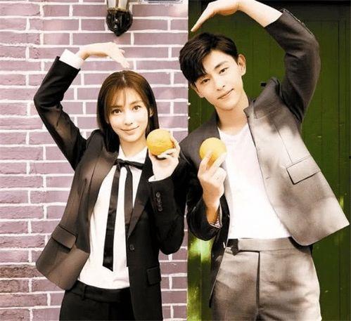 天涯爆料杨颖房车事件视频,揭秘明星奢华生活背后的真相  第3张